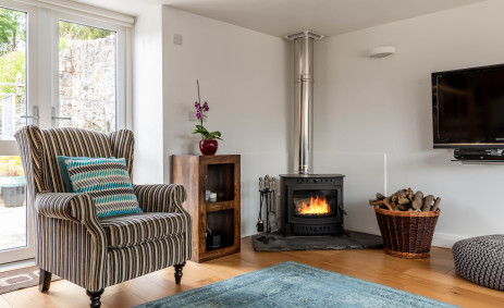 BCG Log burner